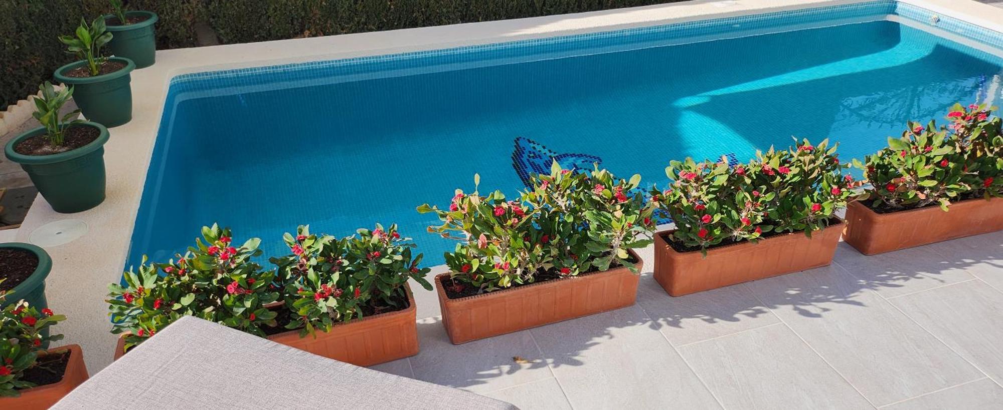 Las Mariposas San Fulgencio 外观 照片